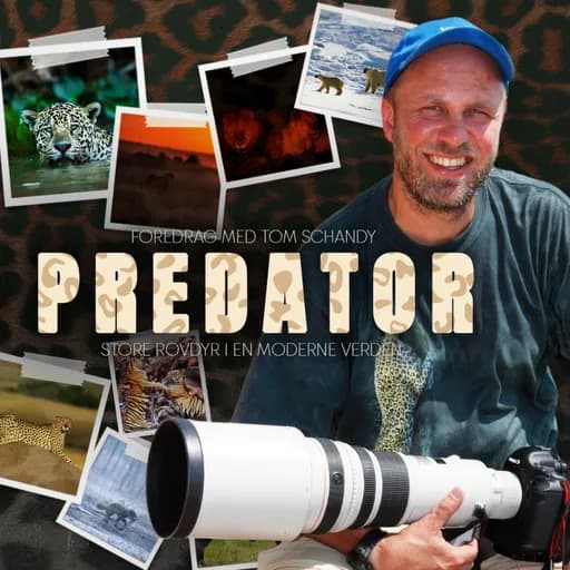 Predator - store rovdyr i en moderne verden