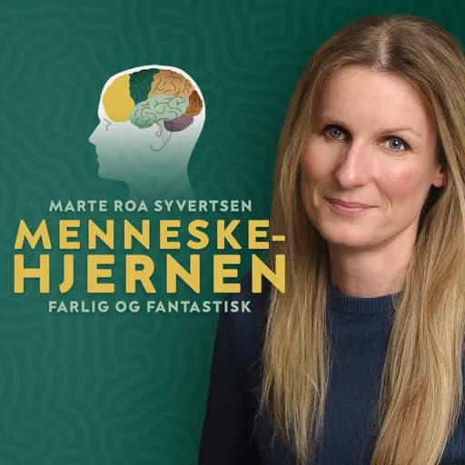 Menneskehjernen – farlig og fantastisk