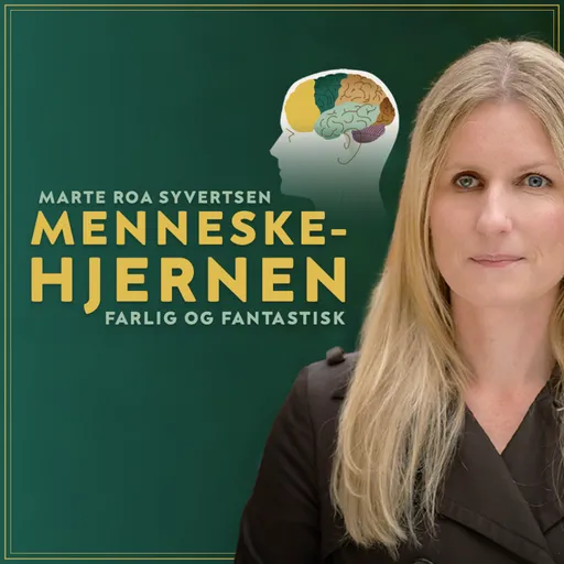 Menneskehjernen – farlig og fantastisk