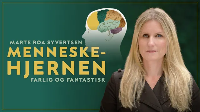 Menneskehjernen – farlig og fantastisk