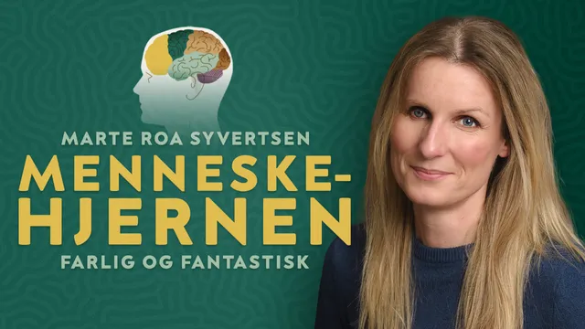 Menneskehjernen – farlig og fantastisk