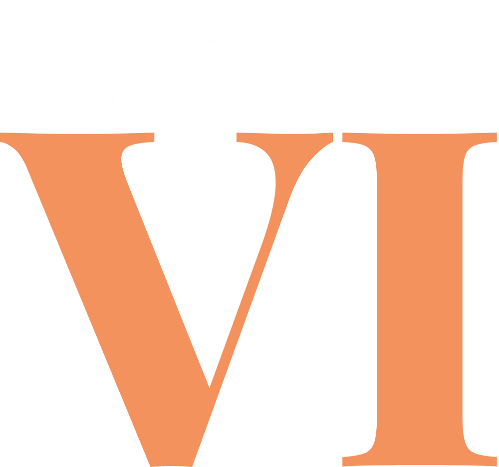 DET STORE VI